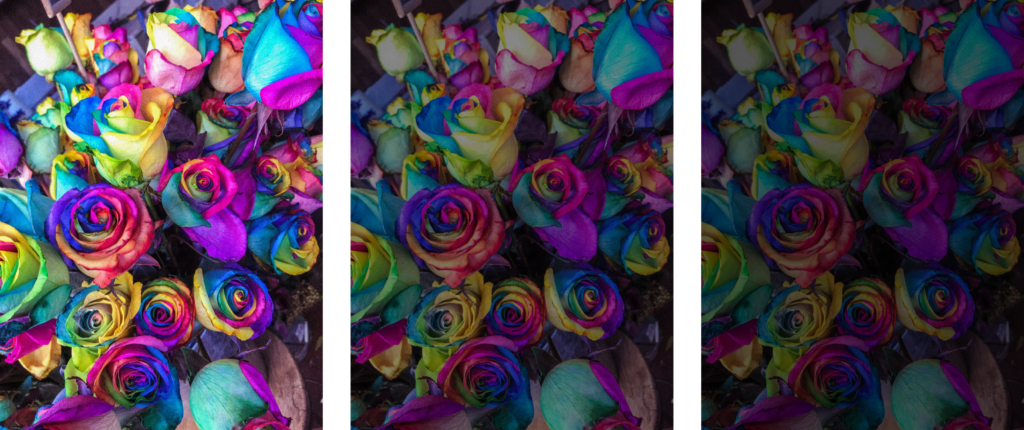 Series of the same flower image illustrating that less light enters the eye as we age. 
