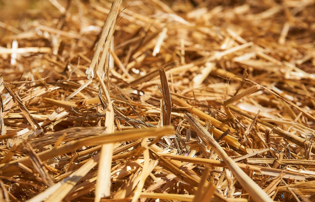 A close up of straw in a pile. 
