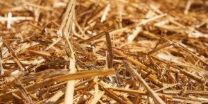 A close up of straw in a pile.