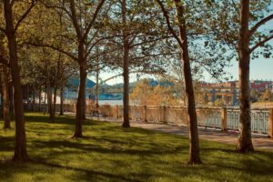 Pittsburgh's Point Park